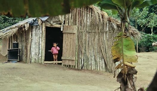 MOSTRA SÃO PAULO DE CULTURA INDÍGENA Começa dia 9 de Fevereiro, na REFINARIA TEATRAL