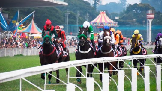 Programa Especial de Férias no JOCKEY CLUB DE SÃO PAULO: Visitas Guiadas Para Crianças