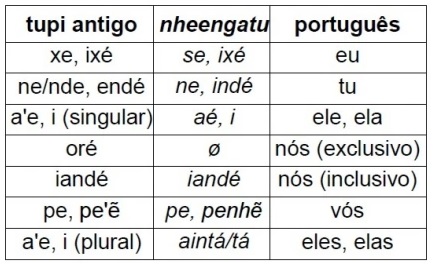 Novo Dicionário Tupi Nheengatu